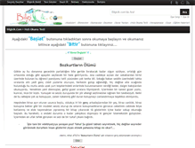 Tablet Screenshot of hizliokumatesti.bilgicik.com