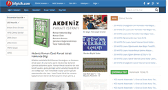 Desktop Screenshot of bilgicik.com